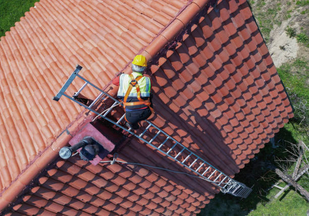 Best Metal Roofing Installation  in Potterville, MI